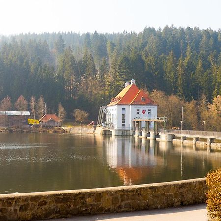 Ferienhaus Nr 6, Typ A, Feriendorf Jaegerpark, Bayerischer Wald Viechtach Esterno foto
